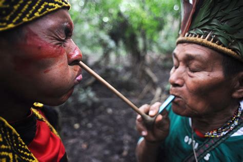 Glimpse into Lost World of Amazon Tribes Threatened by 'Progress'