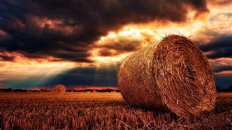 Hd Wallpaper Hay Bale Field Soil Blue Sky Summer Harvest Straw