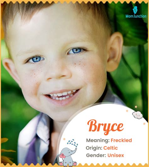 Bryce Name Meaning Origin History And Popularity