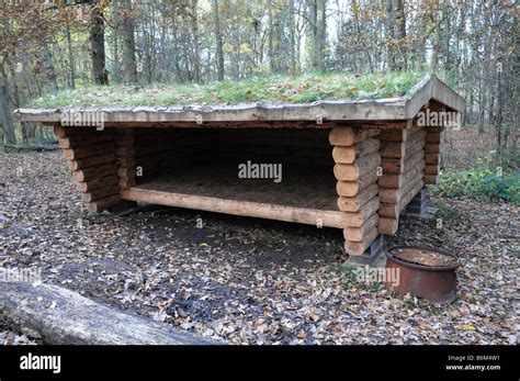 Danish Shelter Shelternet Project Fineshade Wood Northants Uk The