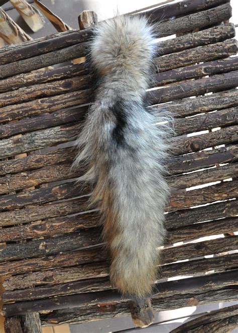 Real Wolf Tail