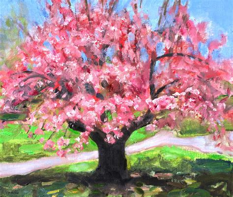 Cherry Blossom Tree In Central Park Painting By Robert Holden Pixels