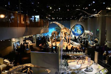 Perot Museum Of Nature And Science Is One Of The Very Best Things To Do In Dallas