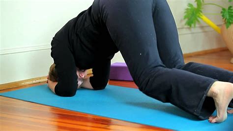 Yoga Tips at Home: Dolphin Pose with Debbie Stevens, The ...