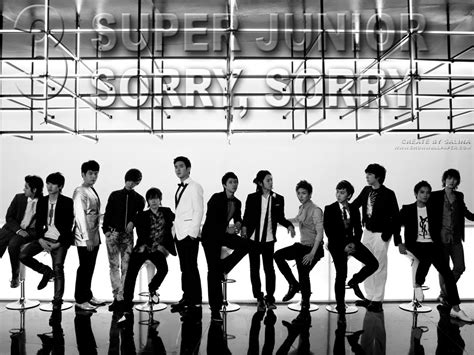 Super junior's 3rd album sorry, sorry has been released. SUPER JUNIOR - SORRY, SORRY MV Wallpaper by Salina