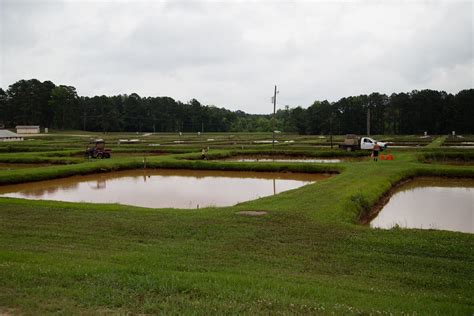 Soy Aquaculture Pond United Soybean Board Flickr