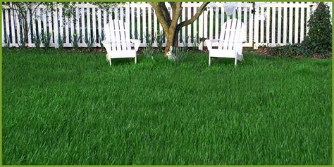 How To Keep Grass Green All Winter Long