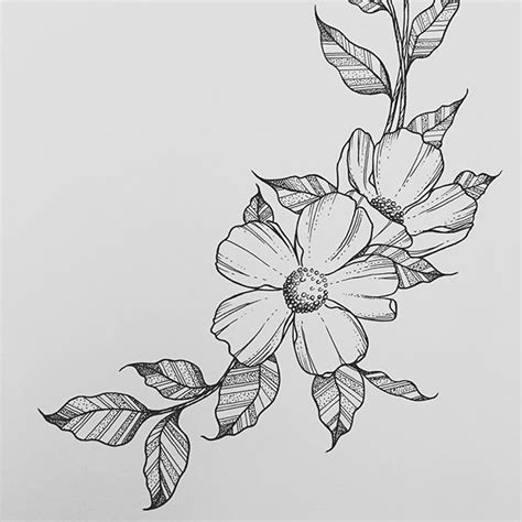 Best 25 Flower Drawings Ideas On Pinterest Flower Sketches Easy