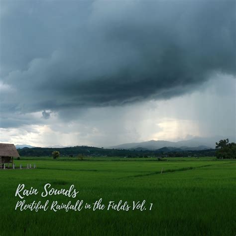 Rain Sounds: Plentiful Rainfall in the Fields Vol. 1 - 432 Hz Destroy
