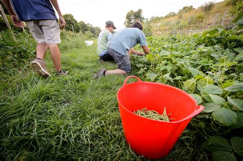 CT Farmers’ Needs Are Changing, and They Say UConn Can Help - UConn Today