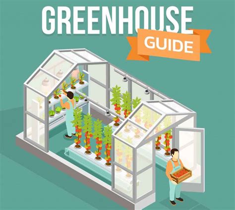 Greenhouse Guide Grow Your Own Food Infographic