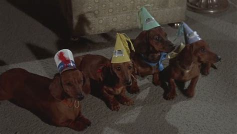 The Ugly Dachshund Frays Movie Reviews