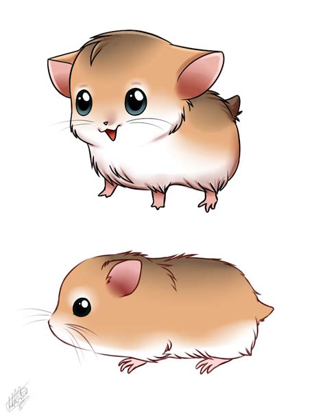 Hamster By Sweetochii On Deviantart