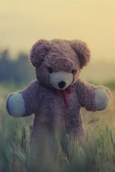 16+ Gambar Wallpaper Boneka Beruang
