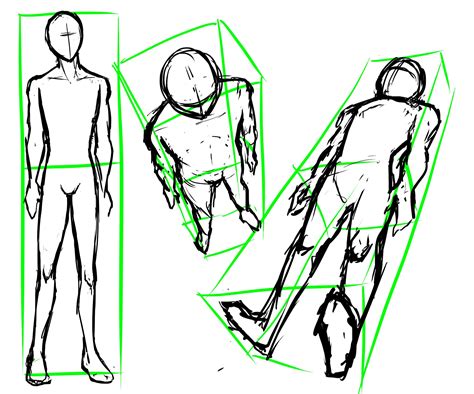 Body Perspective For Drawing Proporciones Dibujo Cuerpo Humano