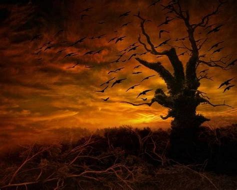 720p Free Download Creepy Tree Tree Dawn Dark Birds Sunset Hd