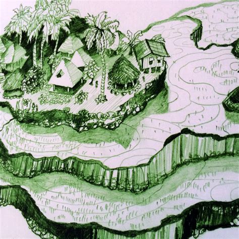 Banaue Rice Terraces Drawing At Explore Collection