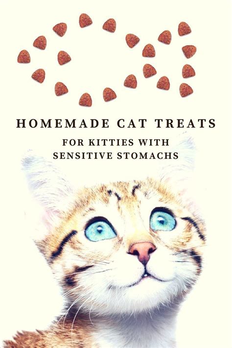 Homemade Cat Treats For Kitties With Sensitive Stomachs Recipe Cats And Meows Cat Treats