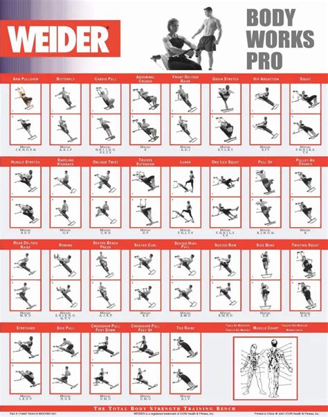 Weider Workout Chart Pdf