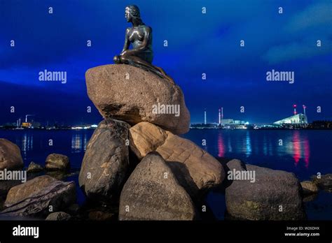 The Famous Little Mermaid Statue In Copenhagen Denmark At Night Stock