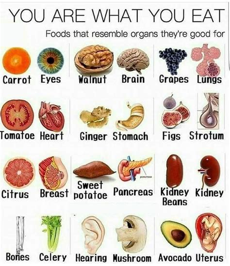 Foods That Resemble Organs Theyre Good For Healing Food Nutrition
