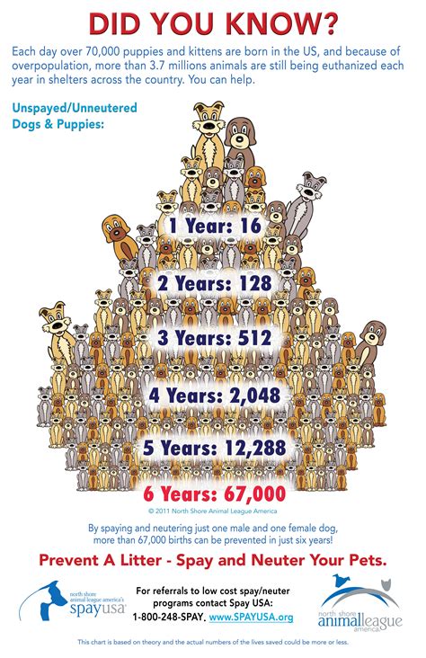 The Dog Population Pyramid By Spay Usa Published With Their