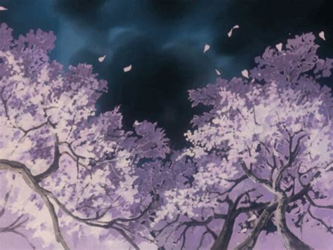 Cherry Blossom Tree Anime  My Favourite S Anime Scenery Cherry