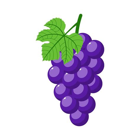 Purple Grapes Isolated On White Background Bunch Of Purple Grapes With