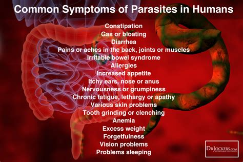 The body becomes more efficient in resisting such pathogens as e. 12 Herbs That Kill Parasites Naturally - DrJockers.com