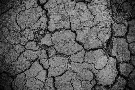 무료 이미지 분기 검정색과 흰색 바닥 조직 건조한 사막 벽 메마른 땅 아스팔트 더러운 진흙 부서진