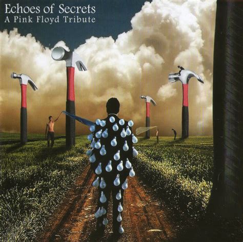 Echoes Of Secrets A Pink Floyd Tribute Various Artists Mellow