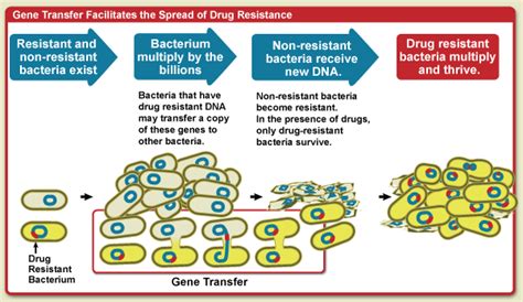 Causes Of Antimicrobial Drug Resistance Nih National Institute Of Allergy And Infectious