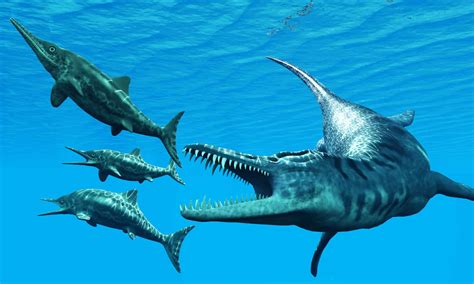 Ichthyosaurus Animal Facts Ichthyosaurus Communis A Z Animals