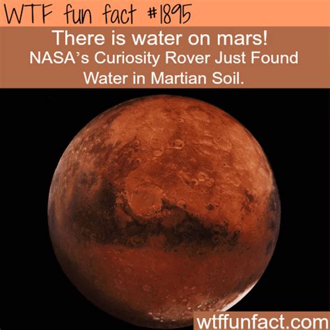 Nasa Found Water On Mars