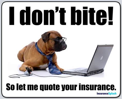 Health Insurance Agent Meme As Well Health Insurance Cartoons Funny Insurance Coverage