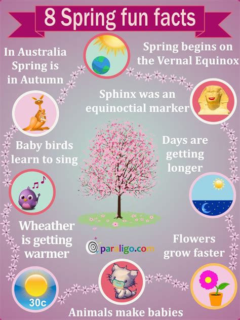 8 Facts About Spring