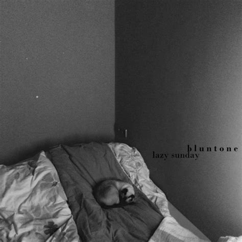Lazy Sunday Album By Bluntone Spotify