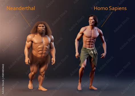 Ilustrace „neanderthal Vs Homo Sapiens Comparison Antropology Illustration Fictional Cartoon