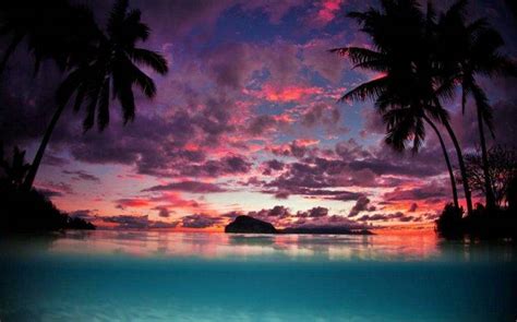 Landscape Nature Tahiti Sunset Palm Trees Island
