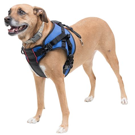 Walkin Lift Combo Front Dog Harness For Mobility Helps Dogs With
