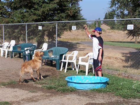 Guidelines And Rules Fordog Supporting Phoenix Dog Park