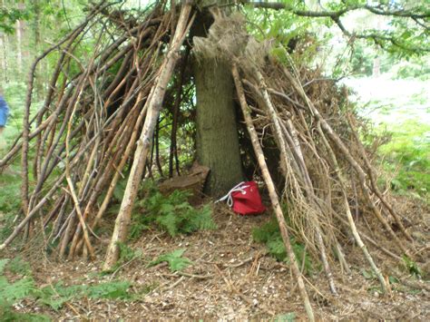 Den Building Competition In Bourne Wood Friends Of