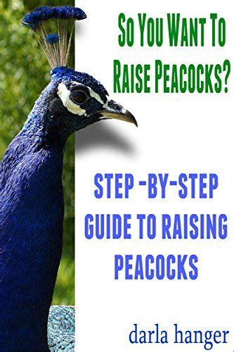 So You Want To Raise Peacocks Step By Step Guide To Raising Peacocks By Hanger Darla With
