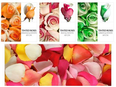 Beautiful And Original Tinted Roses By Bloomingmore Com Flowers