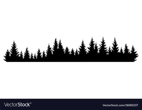 Fir Trees Silhouettes Coniferous Spruce Royalty Free Vector
