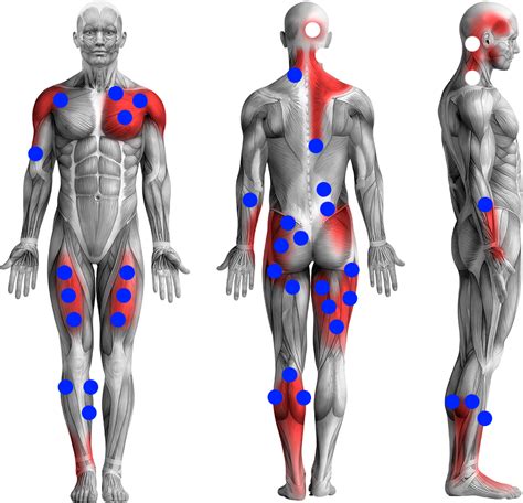 Trigger Point 2021 Trigger Points By Staff Barcharts Inc 2007 Book Other People Who