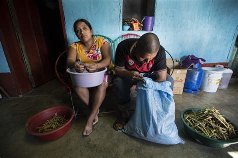 Poverty Climate Change Drive Guatemala S Poor To Migrate Ap News