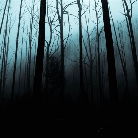Download Wallpaper 2780x2780 Forest Fog Trees Gloomy Night Ipad Air