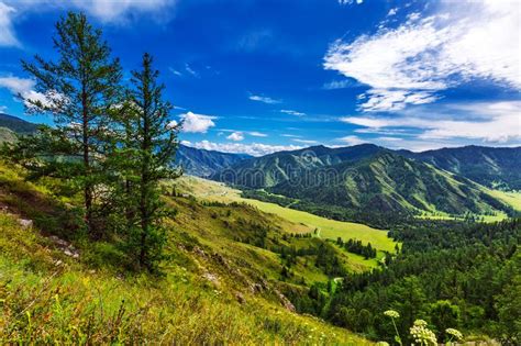 Chike Taman Mountain Pass Altai Republic Russia Stock Photo Image