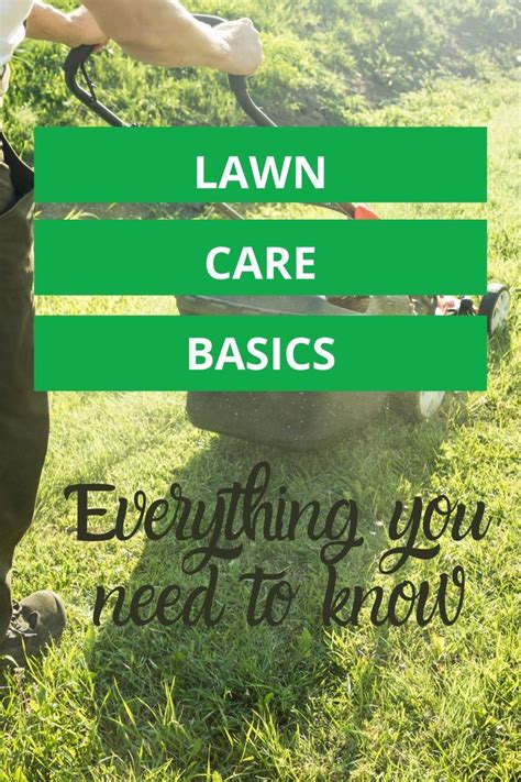 The Perfect Lawn Gardening Lawn Care Lawn Care Business Lawn Care